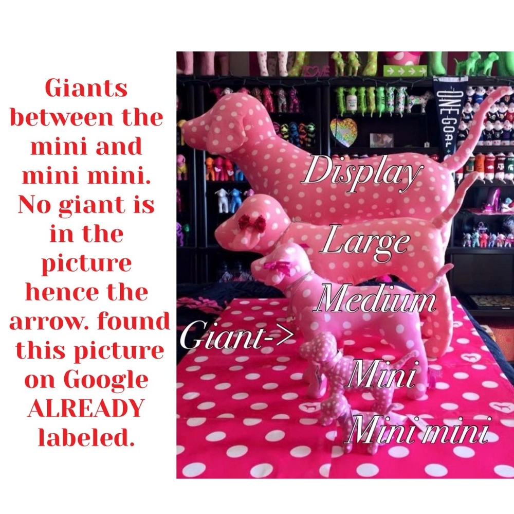 Picture found on GOOGLE PINK dog sizes